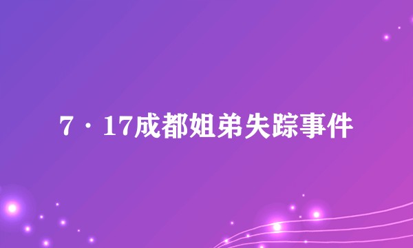 7·17成都姐弟失踪事件