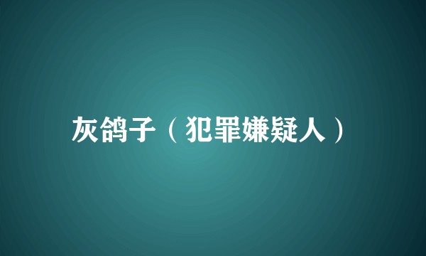 灰鸽子（犯罪嫌疑人）