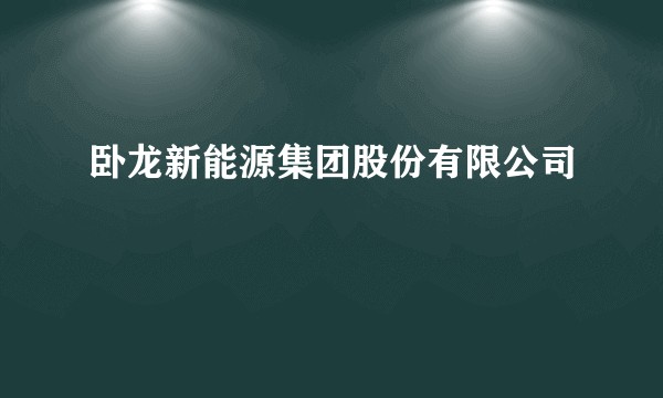 卧龙新能源集团股份有限公司