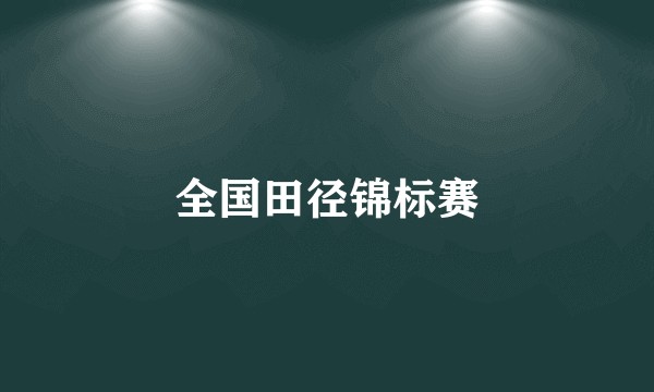 全国田径锦标赛