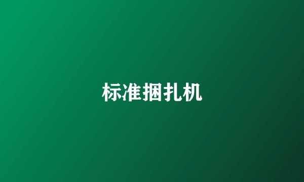 标准捆扎机