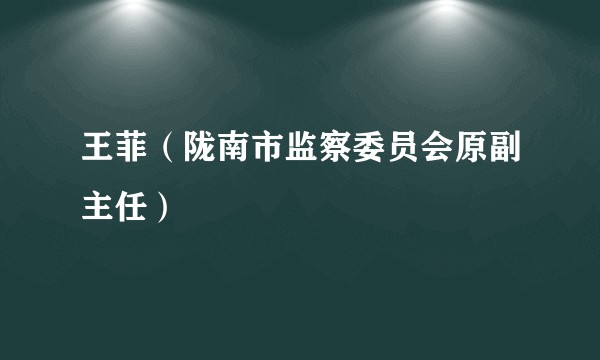 王菲（陇南市监察委员会原副主任）