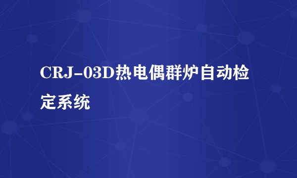 CRJ-03D热电偶群炉自动检定系统
