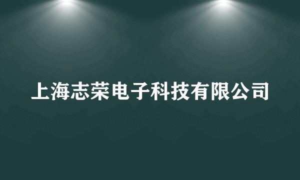 上海志荣电子科技有限公司
