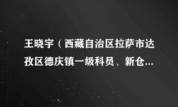 王晓宇(西藏自治区拉萨市达孜区德庆镇一级科员、新仓村党委第一书记)