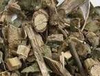 汉桃叶(五加科鹅掌柴属植物)