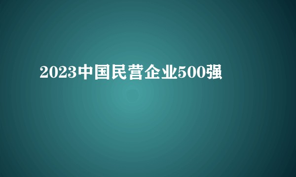 2023中国民营企业500强