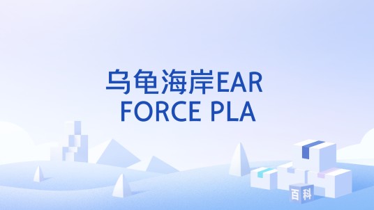 乌龟海岸EAR FORCE PLA