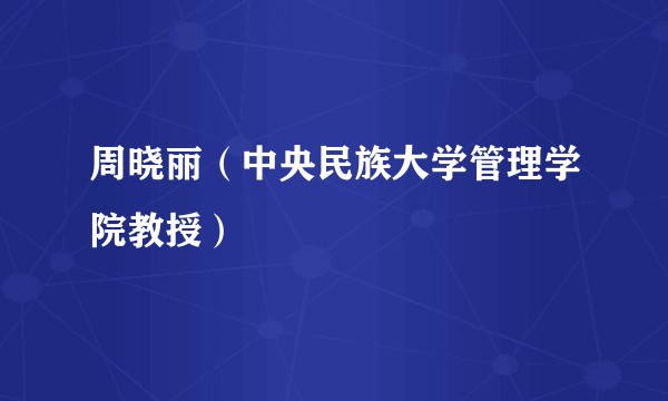 周晓丽（中央民族大学管理学院教授）