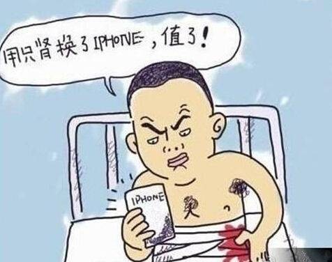肾机