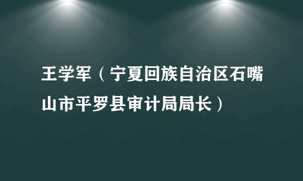 王学军（宁夏回族自治区石嘴山市平罗县审计局局长）