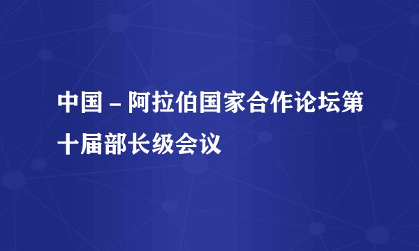 中国－阿拉伯国家合作论坛第十届部长级会议