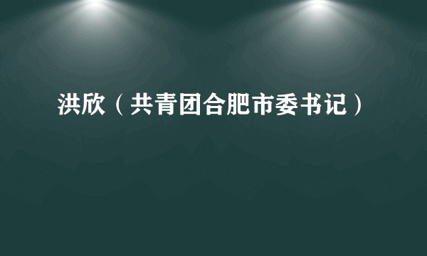 洪欣（共青团合肥市委书记）