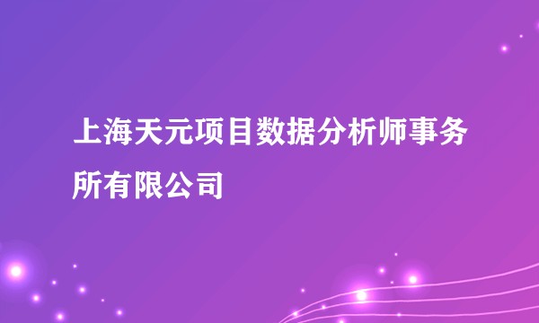 上海天元项目数据分析师事务所有限公司