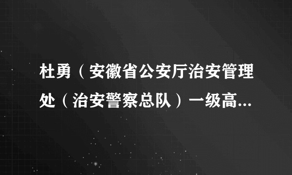 杜勇（安徽省公安厅治安管理处（治安警察总队）一级高级警长）