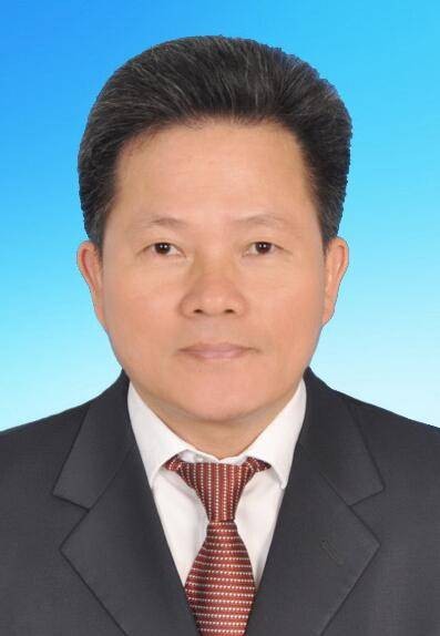 陈景泰(广东省湛江市坡头区委原书记)