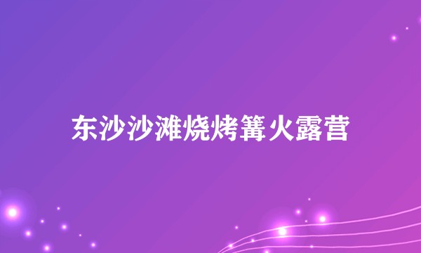东沙沙滩烧烤篝火露营