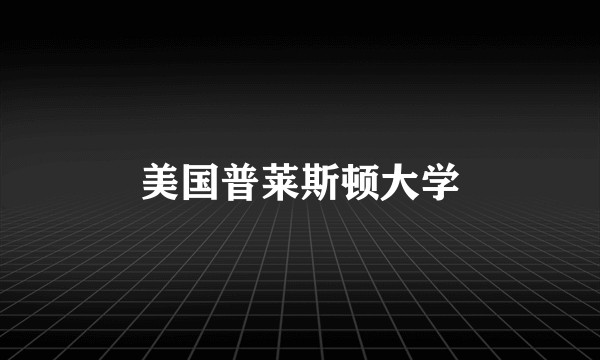 美国普莱斯顿大学