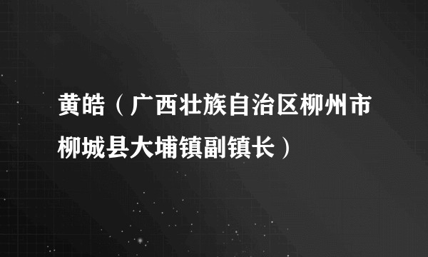 黄皓（广西壮族自治区柳州市柳城县大埔镇副镇长）