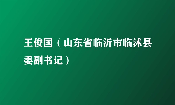 王俊国（山东省临沂市临沭县委副书记）