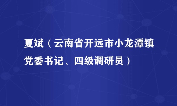 夏斌（云南省开远市小龙潭镇党委书记、四级调研员）