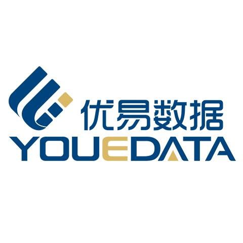 国信优易数据股份有限公司