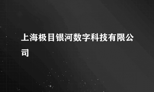 上海极目银河数字科技有限公司