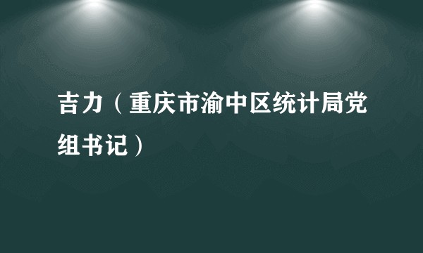 吉力(重庆市渝中区统计局党组书记)