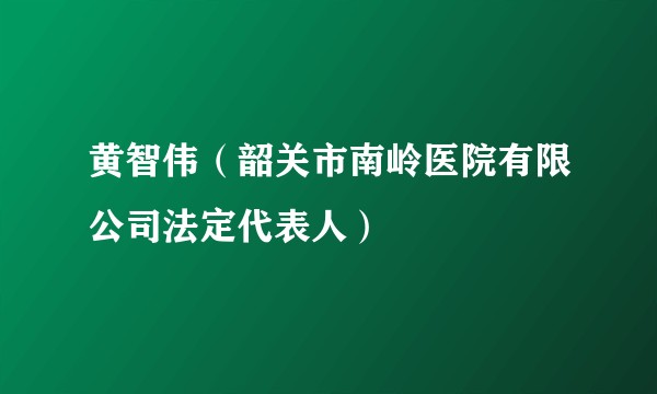 黄智伟（韶关市南岭医院有限公司法定代表人）