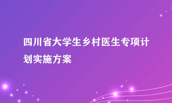 四川省大学生乡村医生专项计划实施方案