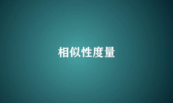 相似性度量