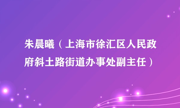 朱晨曦（上海市徐汇区人民政府斜土路街道办事处副主任）