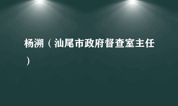 杨溯（汕尾市政府督查室主任）