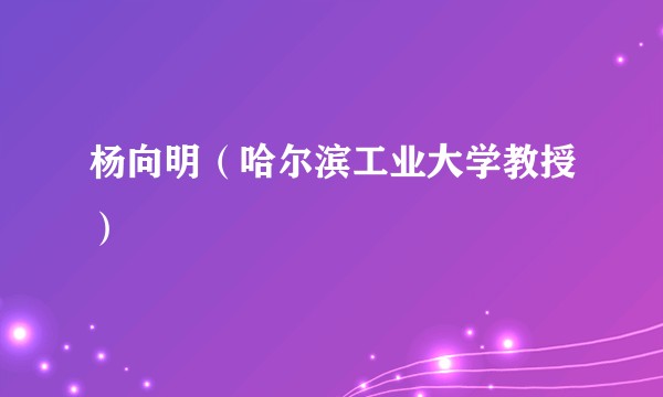 杨向明(哈尔滨工业大学教授)