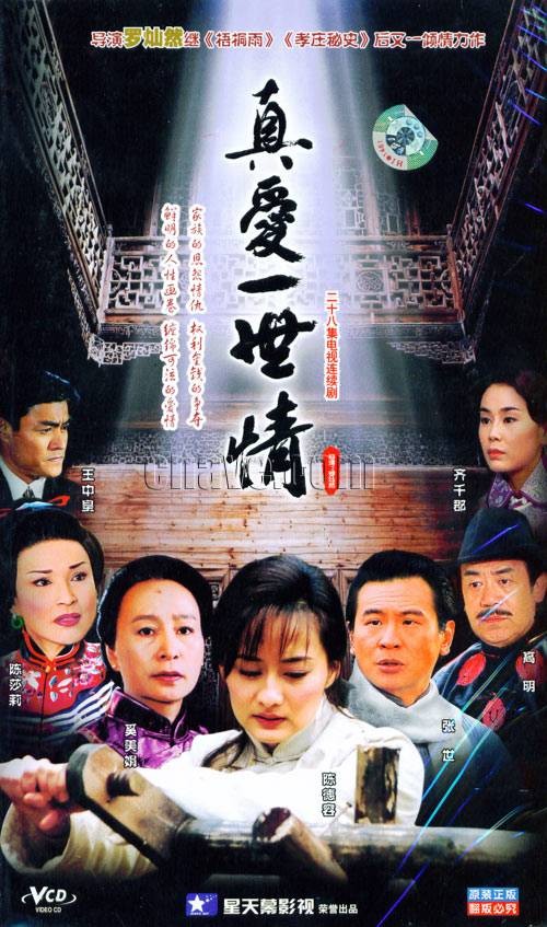 真爱一世情（2004年陈德容主演的家庭情感电视剧）