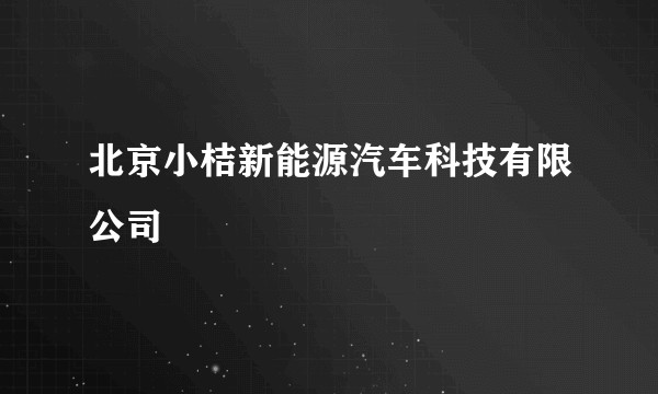 北京小桔新能源汽车科技有限公司