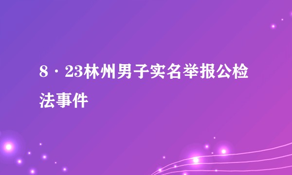 8·23林州男子实名举报公检法事件
