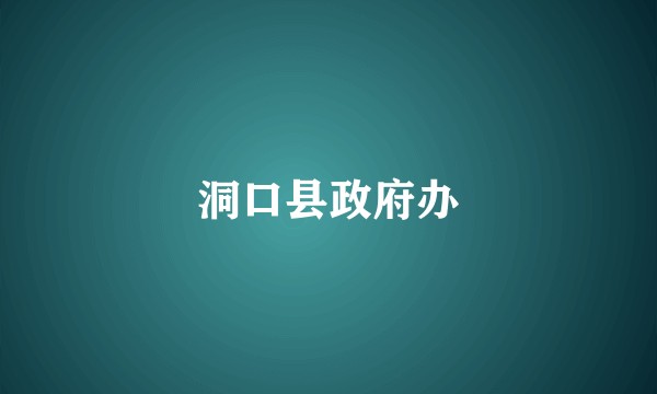 洞口县政府办
