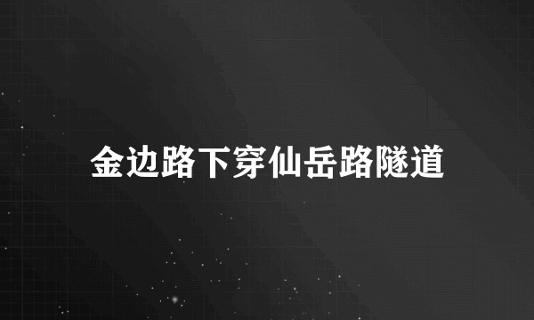 金边路下穿仙岳路隧道