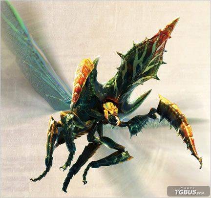 彻甲虫