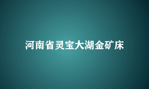 河南省灵宝大湖金矿床