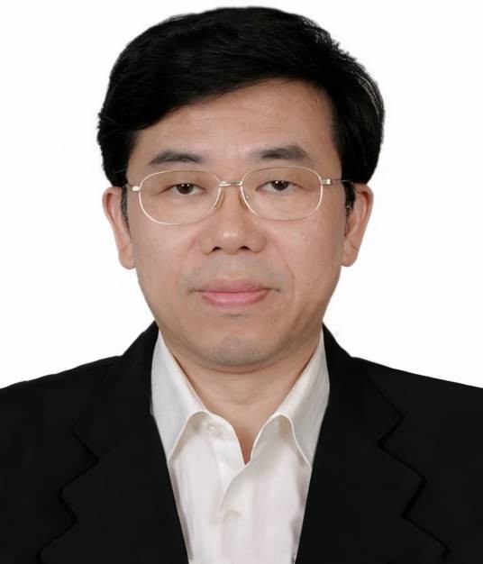张波（电气与电子工程师协会会士，华南理工大学电力学院二级教授、博士生导师、硕士生导师）