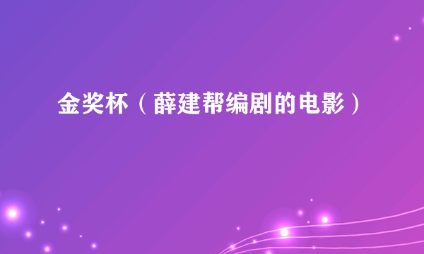 金奖杯（薛建帮编剧的电影）