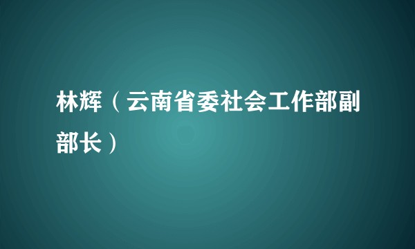 林辉(云南省委社会工作部副部长)