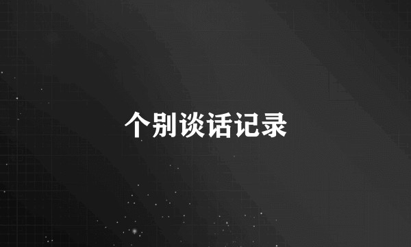 个别谈话记录