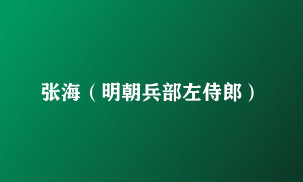 张海（明朝兵部左侍郎）