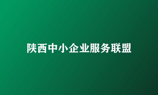 陕西中小企业服务联盟
