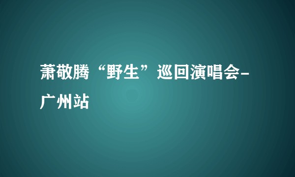 萧敬腾“野生”巡回演唱会-广州站