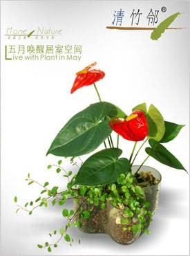 主妇休息日