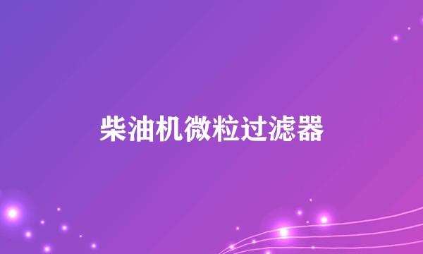 柴油机微粒过滤器